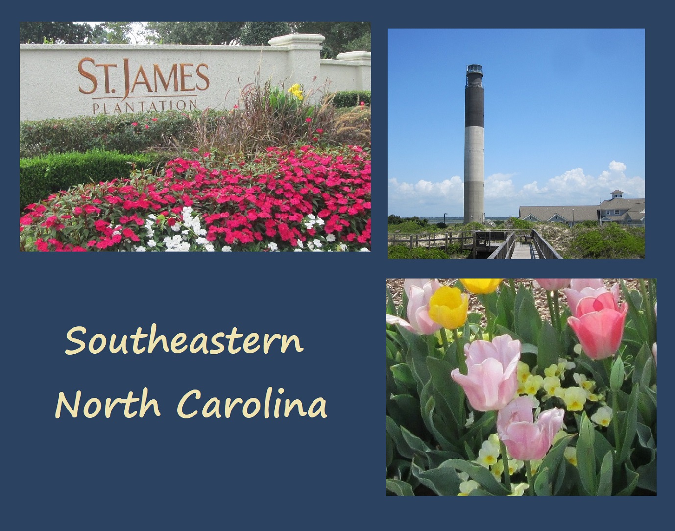 southeastern NC towns . beaches . flowers