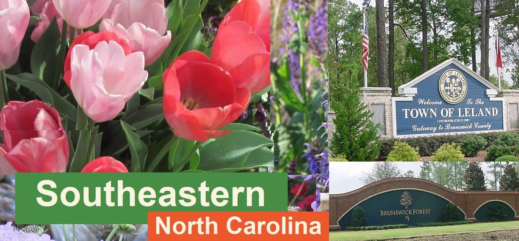 southeastern North Carolina photo