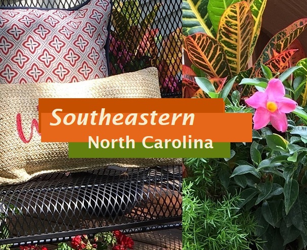flowers southeastern North Carolina