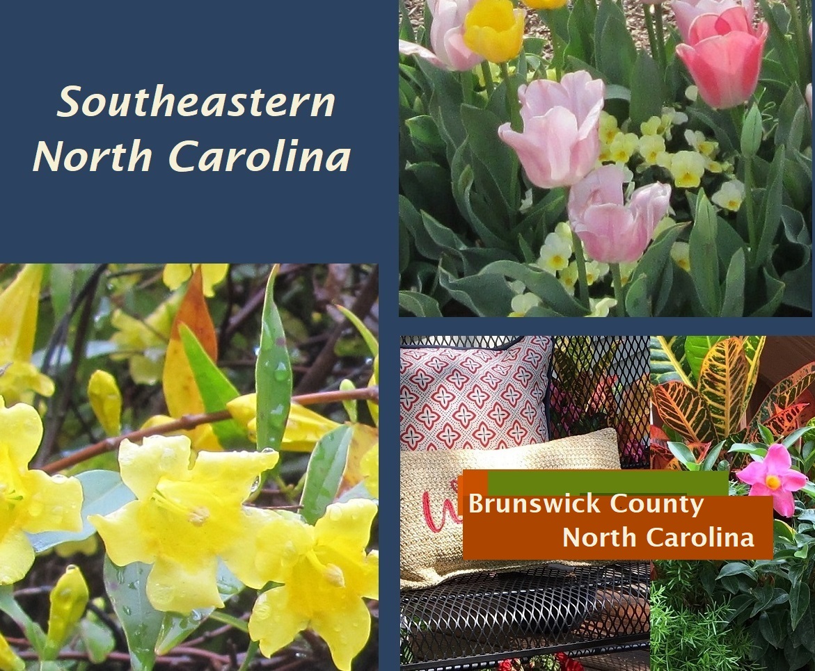flowers Brunswick County NC