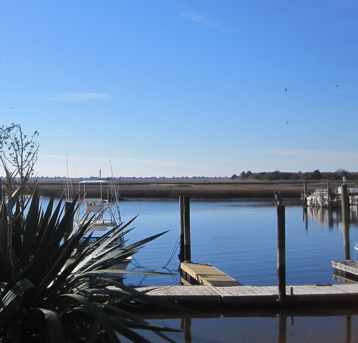 Old Yacht Basin area Southport NC