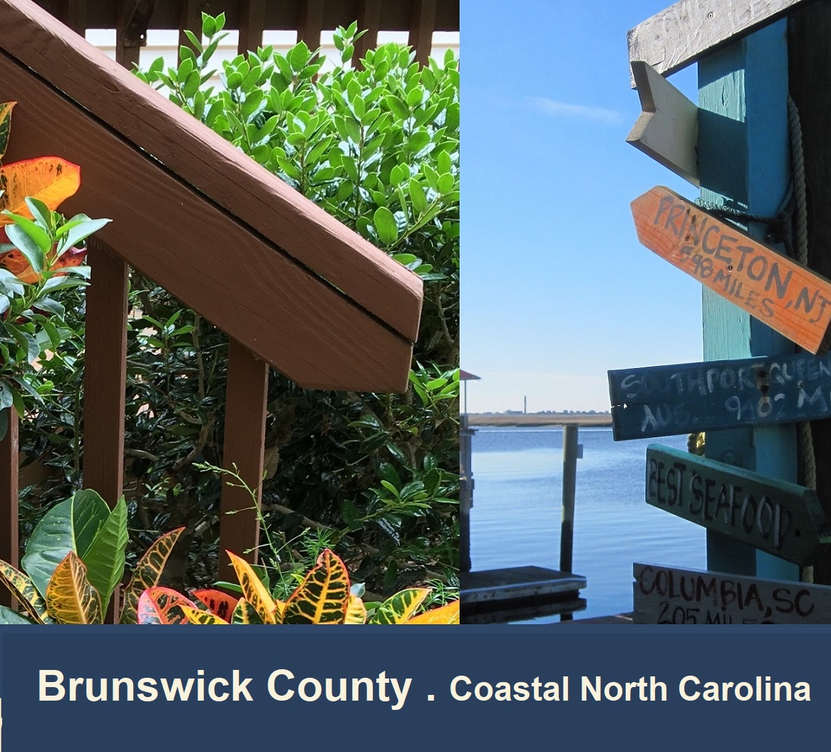 Brunswick County . Coastal North Carolina