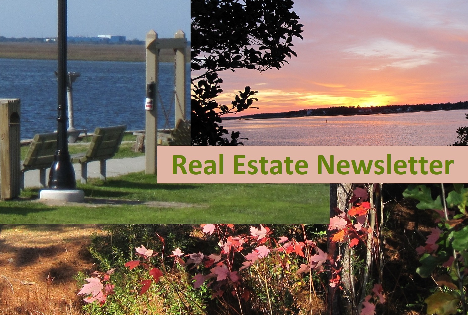 Real Estate Newsletter NC Pictures