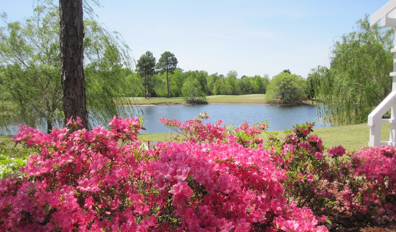 golf course at Leland North Carolina